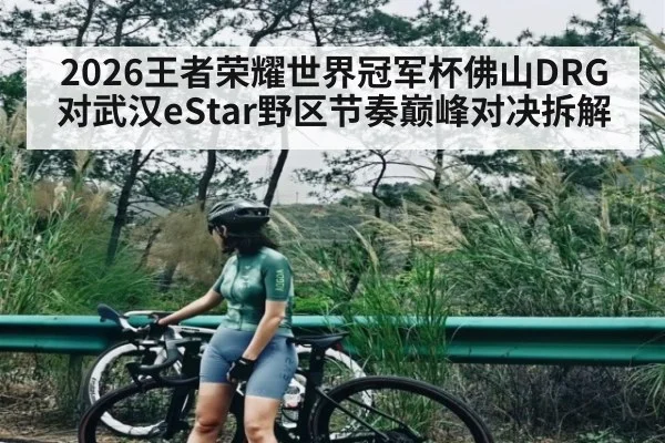 2026王者荣耀世界冠军杯佛山DRG对武汉eStar野区节奏巅峰对决拆解
